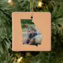 Search for georgia peach christmas tree decorations Atlanta