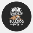 Search for dog sayings stickers Golden retriever