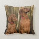 Search for weimaraner cushions Puppy