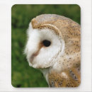 Search for barn owl mouse mats Owls