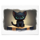 Search for box art Kittens