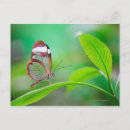 Search for relaxing postcards Nature