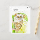 Search for tarsier postcards Illustration