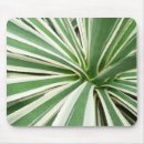 Search for agave mouse mats Green