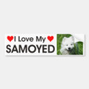 Search for i love my dog bumper stickers Black