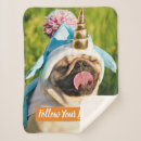 Search for pug blankets Animal