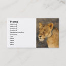 Search for south business cards Africa