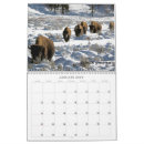 Search for lands calendars Wildlife