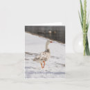 Search for white goose cards Winter