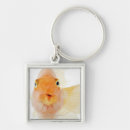 Search for freshwater key rings Humour