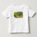 Search for aspens tshirts Outdoor