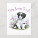 Search for border collie postcards Thinking of you