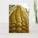 Search for yellow corn cards Stalk