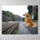 Search for dog training posters Cute