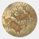Search for deer in the woods stickers Lodge