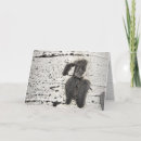 Search for blank photo cards Black and white