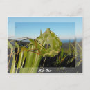 Search for flax postcards New zealand