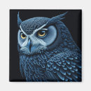Search for serious magnets Owl