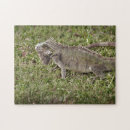 Search for lizard puzzles Exotic