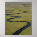 Search for botswana posters Okavango