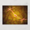 Search for nervous system postcards Yellow