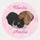 Search for cute animal couple stickers Heart
