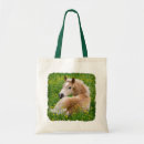 Search for ponies bags Foal