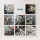 Search for collage puzzles Montage