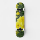 Search for daffodil skateboards Nature