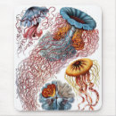 Search for biologists electronics Biology