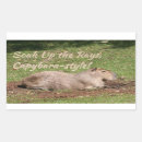 Search for sunbathing stickers Vacation