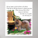 Search for chow posters Cute