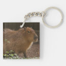 Search for capybara key rings Wildlife