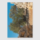 Search for new address magnets Travel