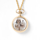 Search for shih tzu accessories Animals