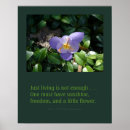 Search for crocus posters Floral