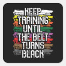 Search for belts stickers Training