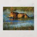 Search for selective focus postcards Horizontal