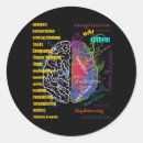 Search for brain stickers Neuroscience
