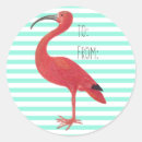 Search for vintage florida stickers Tropical