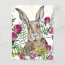 Search for easter funny postcards Hare