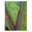 Search for habitat notebooks Green