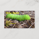Search for caterpillar business cards Green