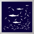 Search for blue shark posters Ocean