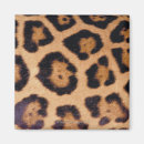 Search for surface magnets Brown