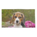 Search for funny animals pillowcases For her