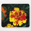 Search for marigolds mouse mats Nature