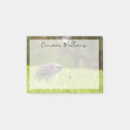 Search for hedgehog post it notes Mammal