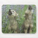 Search for howl mouse mats Nature