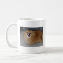 Search for sushi mugs Animal